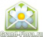 Логотип компании Доставка цветов Гранд Флора (ф-л г.Зерноград)